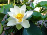DSCF2897_R