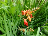 DSCF2591_R