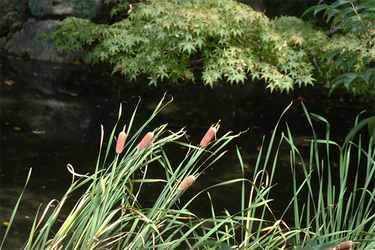 DSC09972_R