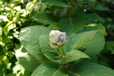 DSC07679_R