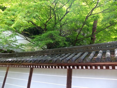 DSCF9524