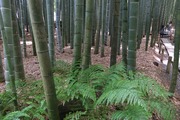 DSCF5355_R
