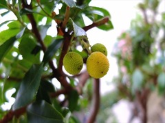DSCF9725_R