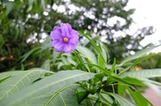 DSCF4854_R