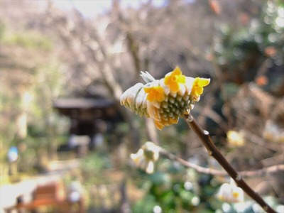 DSCF1035_R