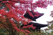 DSCF7545_R