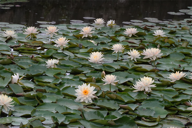 DSC09580_R