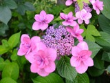 DSCF2220_R