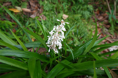 DSC02808_R