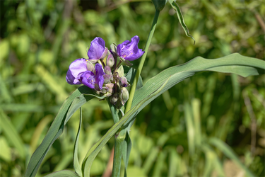 DSC05959_R