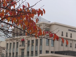DSCF6051_R