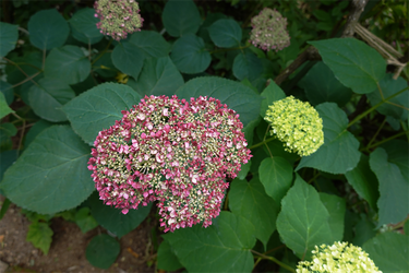 DSC08063_R
