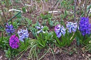 DSCF1756_R