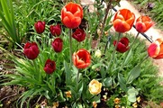 DSCF2418_R