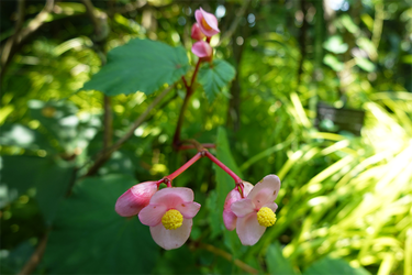 DSC08787_R