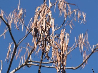 DSCF8434_R