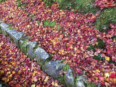 DSCF3162_R