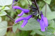 DSCF5787_R