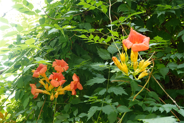 DSC09150_R