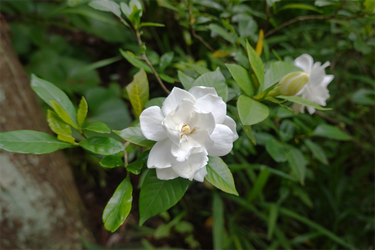 DSC08664_R