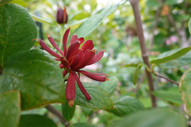 DSC08203_R