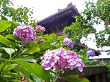 DSCF2649_R