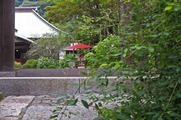 DSCF5046_R