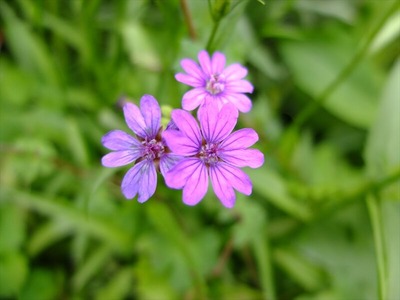 DSCF2612_R