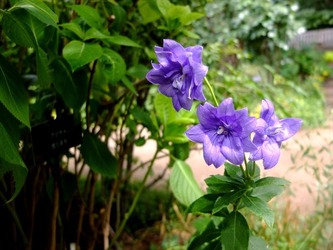 DSCF1532_R