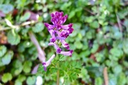 DSCF2065_R