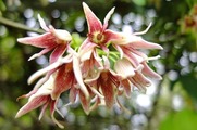 DSCF2583_R