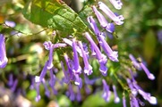 DSCF6208_R