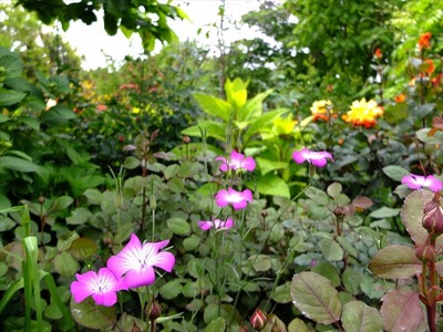 DSCF2645_R