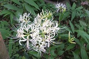 DSCF6269_R