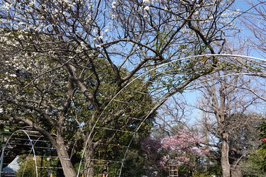 DSC00567_R