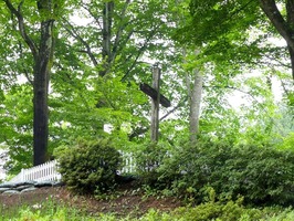 DSCF1074_R