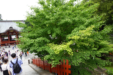 DSC07393_R