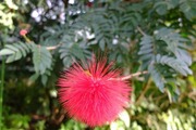 DSCF9106_R