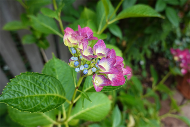DSC08208_R