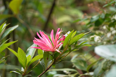 DSC08119_R