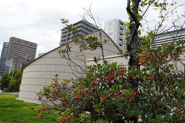 DSC08105_R