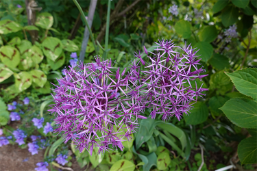 DSC07030_R