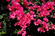 DSCF9075_R