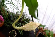 DSCF6877_R