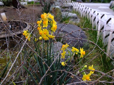 DSCF1241_R