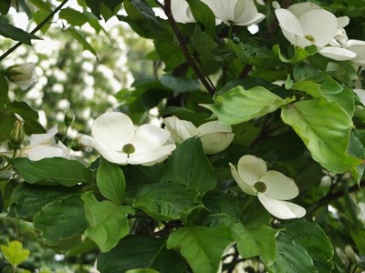 DSCF2770_R