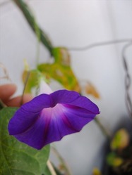 DSCF5992_R