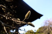 DSCF9941_R