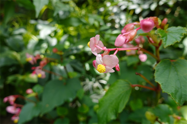 DSC09031_R