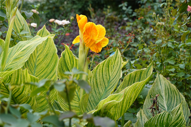 DSC09259_R